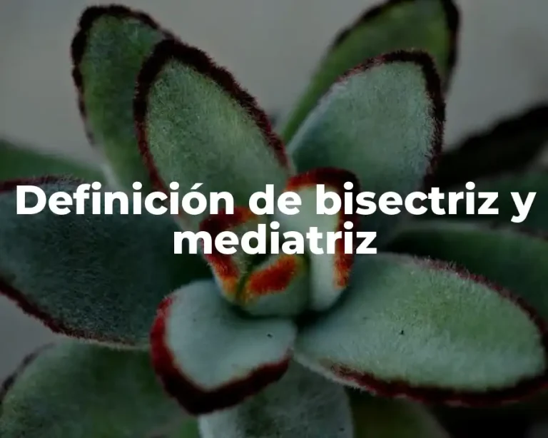 Definición de bisectriz y mediatriz