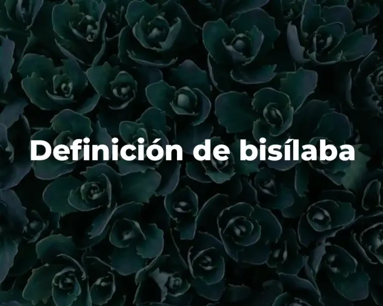 Definición de bisílaba