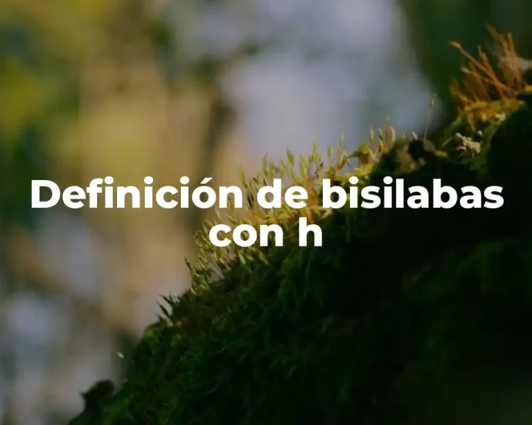 Definición de bisilabas con h