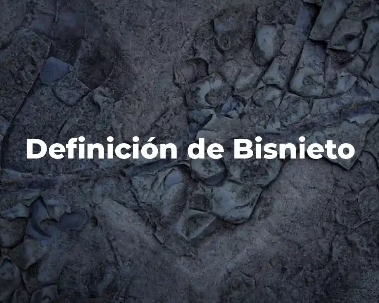 Definición de Bisnieto