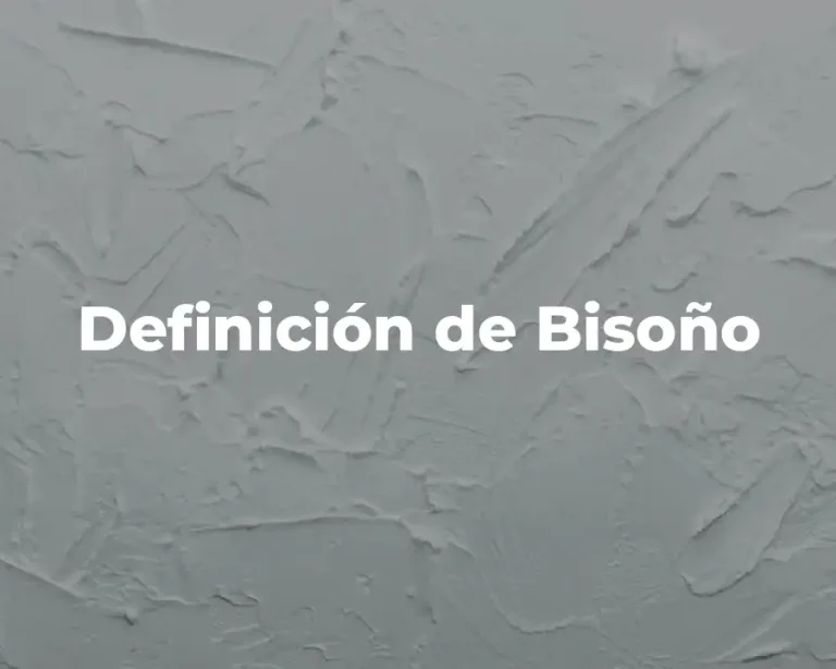 Definición de Bisoño