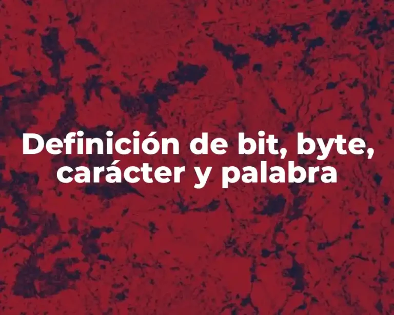 Definición de bit, byte, carácter y palabra