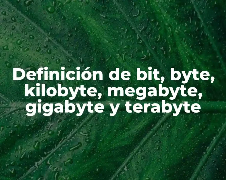 Definición de bit, byte, kilobyte, megabyte, gigabyte y terabyte