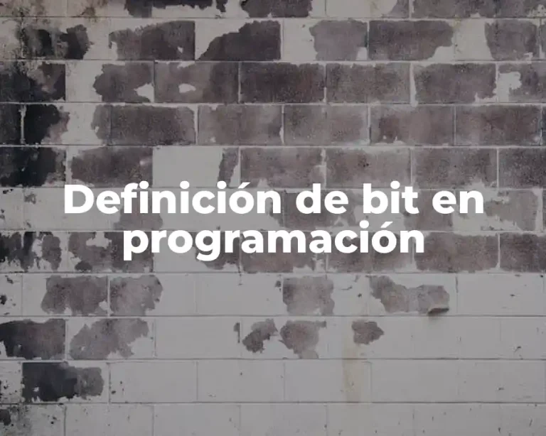 Definición de bit en programación