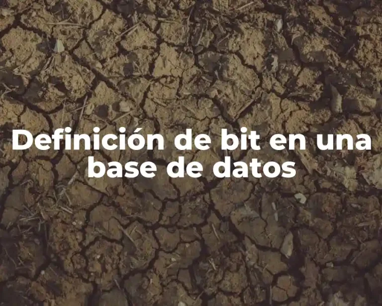 Definición de bit en una base de datos