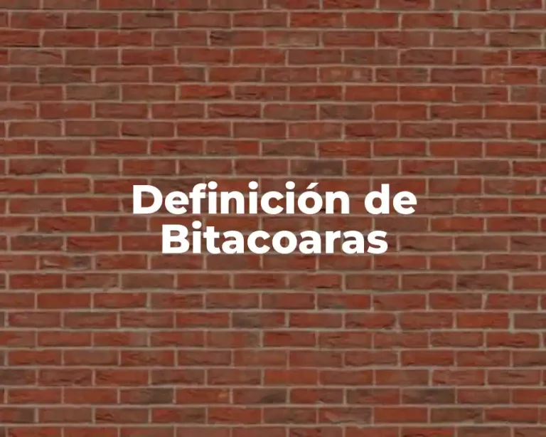 Definición de Bitacoaras