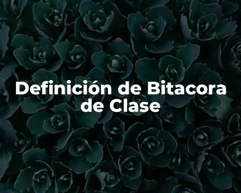 Definición de Bitacora de Clase