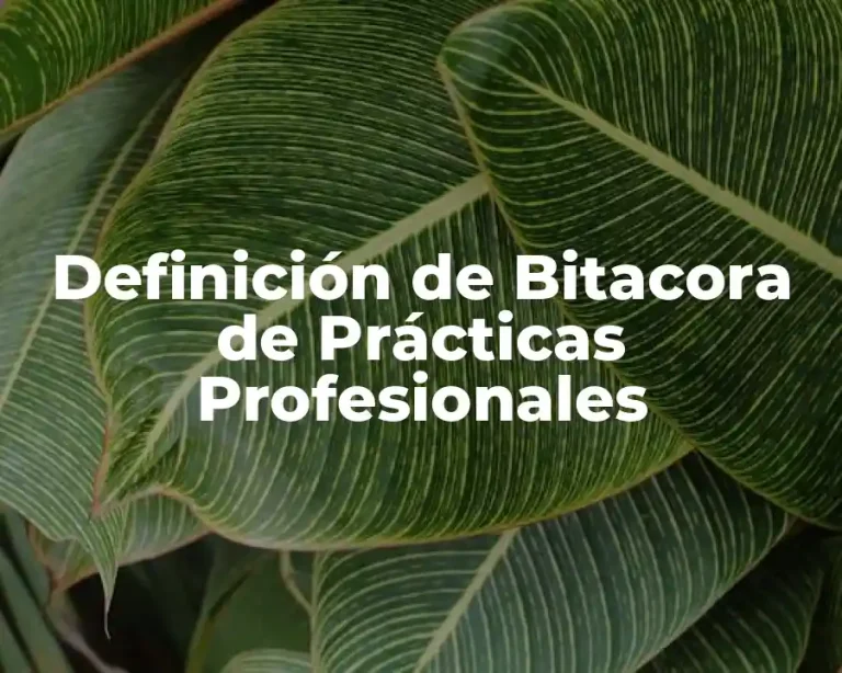 Definición de Bitacora de Prácticas Profesionales