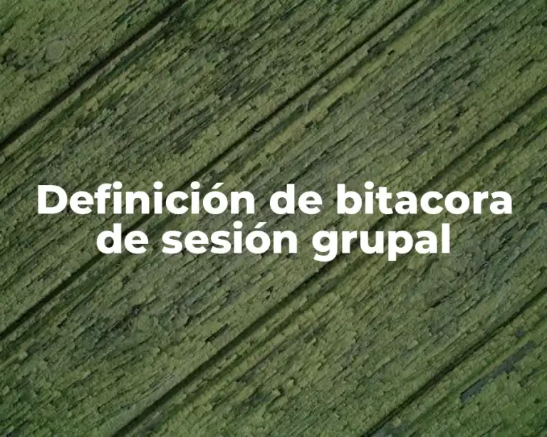Definición de bitacora de sesión grupal