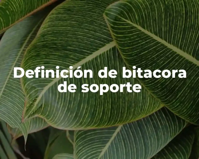 Definición de bitacora de soporte