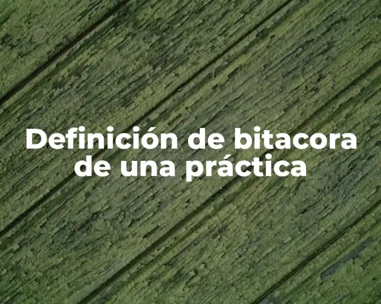Definición de bitacora de una práctica