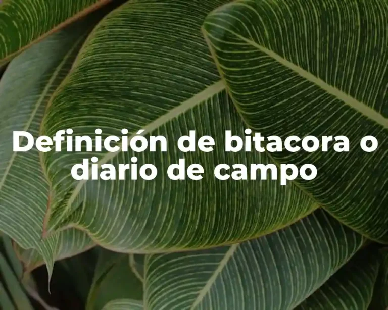 Definición de bitacora o diario de campo