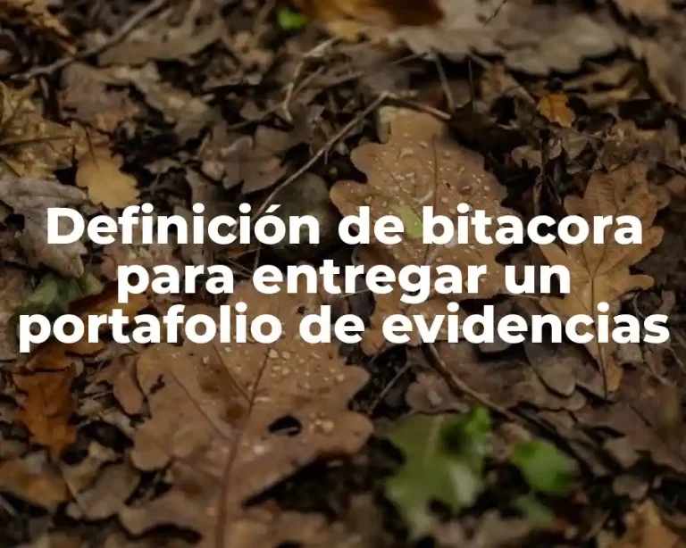 Definición de bitacora para entregar un portafolio de evidencias