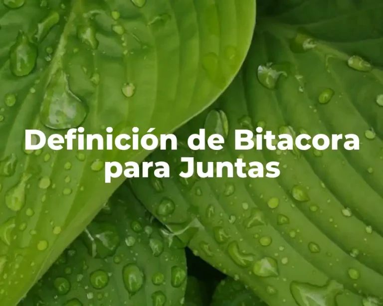 Definición de Bitacora para Juntas