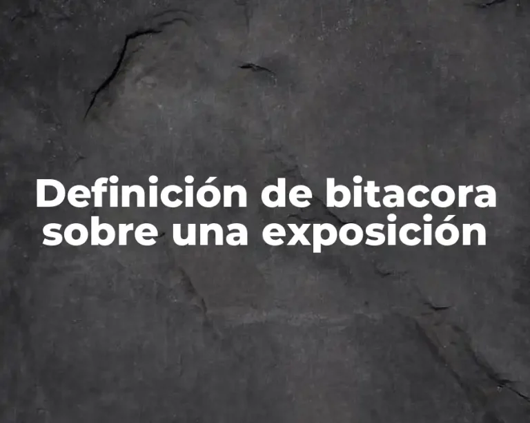 Definición de bitacora sobre una exposición