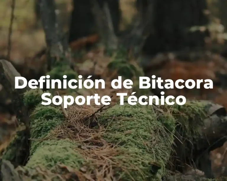 Definición de Bitacora Soporte Técnico