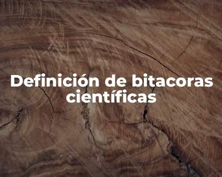 Definición de bitacoras científicas