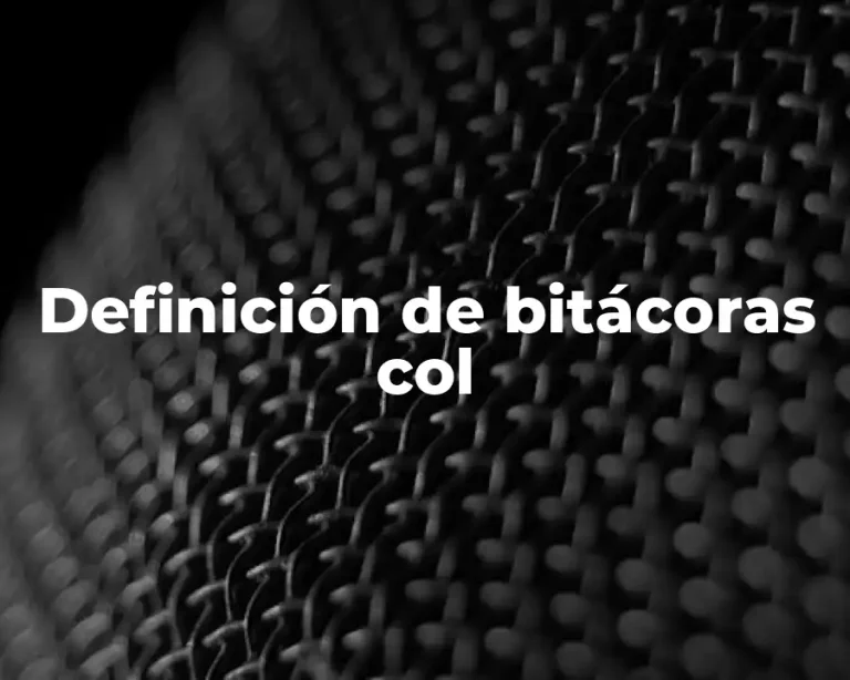 Definición de bitácoras col