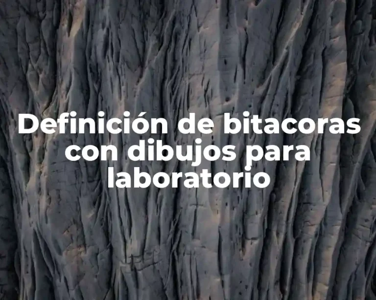 Definición de bitacoras con dibujos para laboratorio