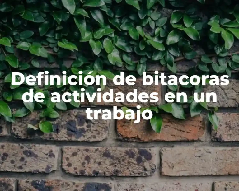 Definición de bitacoras de actividades en un trabajo