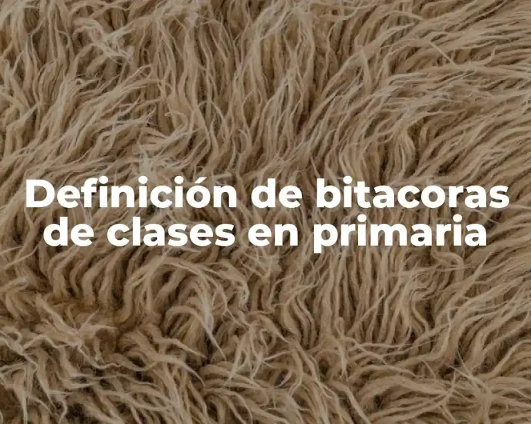 Definición de bitacoras de clases en primaria