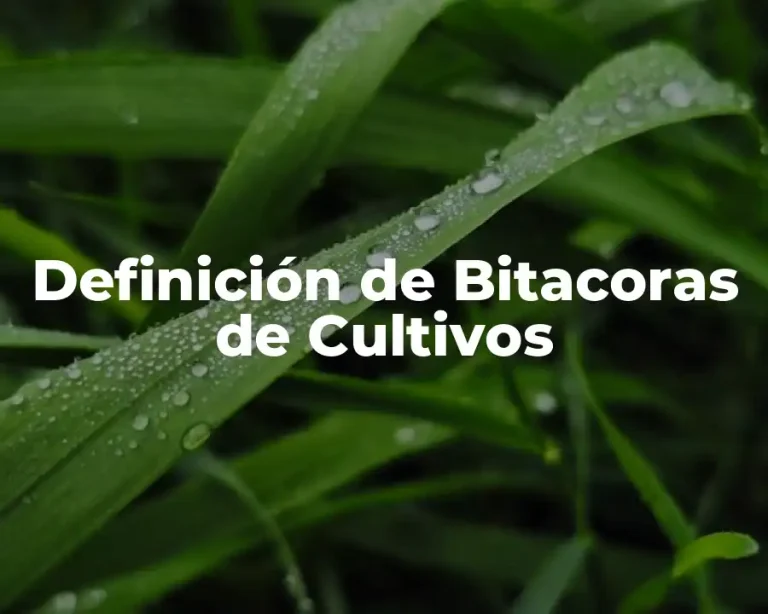 Definición de Bitacoras de Cultivos