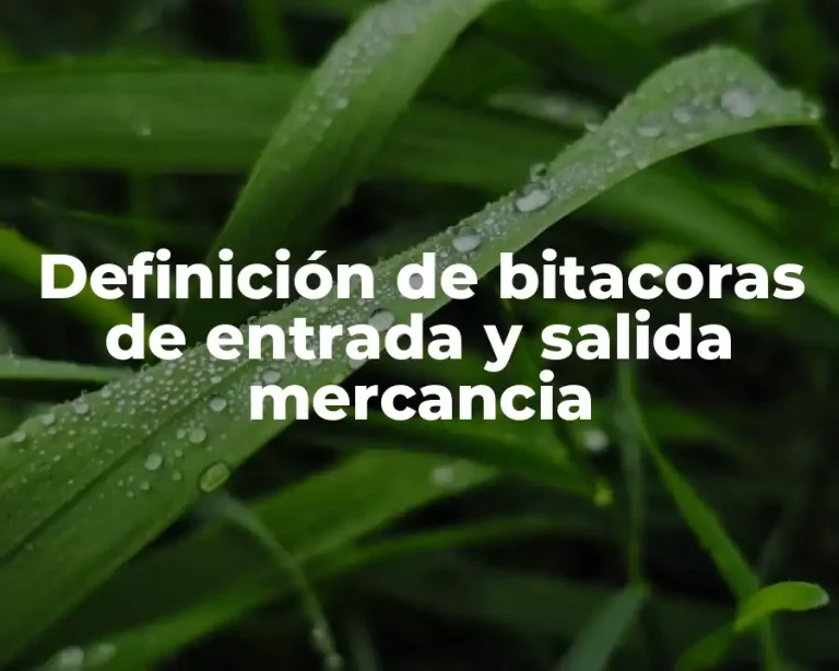 Definición de bitacoras de entrada y salida mercancia