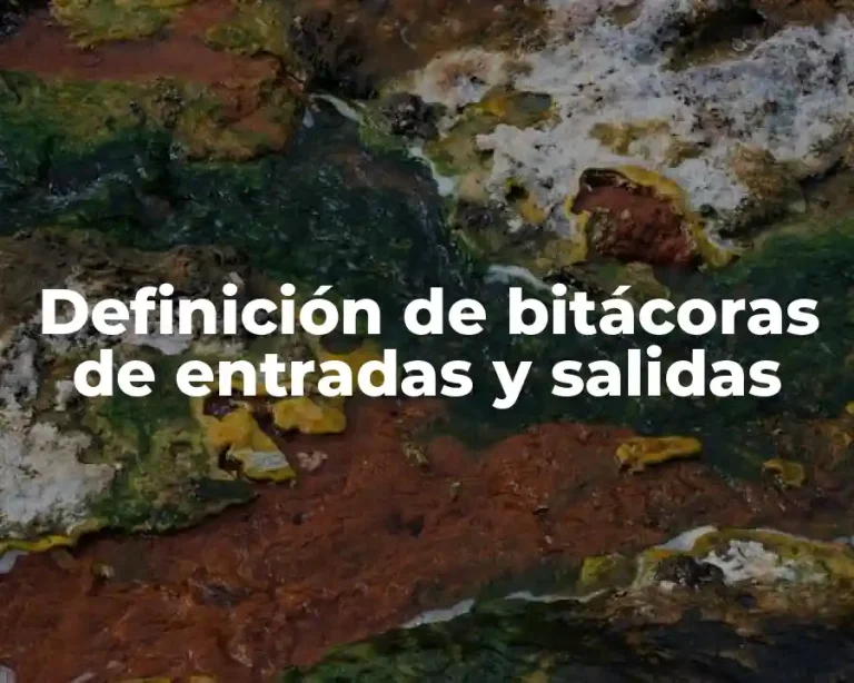 Definición de bitácoras de entradas y salidas