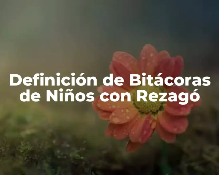 Definición de Bitácoras de Niños con Rezagó
