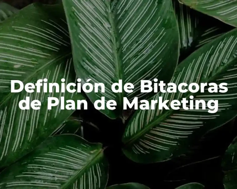 Definición de Bitacoras de Plan de Marketing