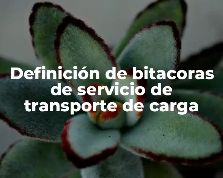 Definición de bitacoras de servicio de transporte de carga