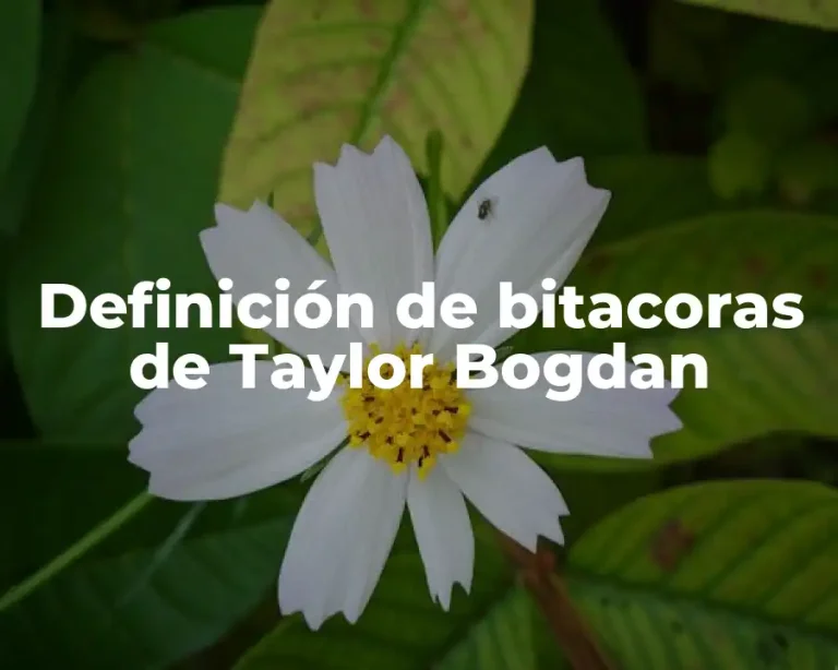 Definición de bitacoras de Taylor Bogdan