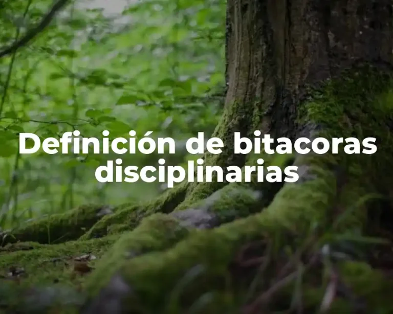 Definición de bitacoras disciplinarias