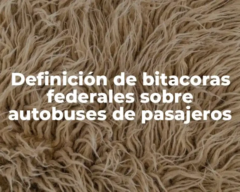 Definición de bitacoras federales sobre autobuses de pasajeros