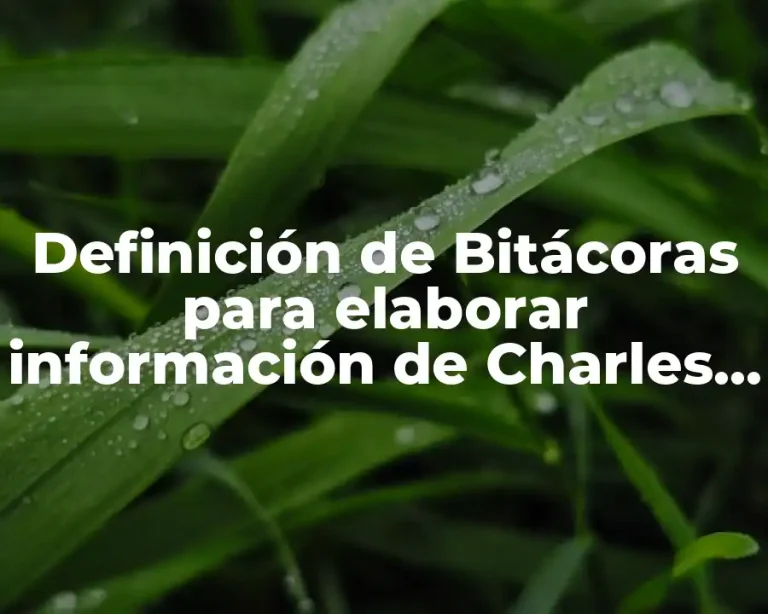 Definición de Bitácoras para elaborar información de Charles Chaplin