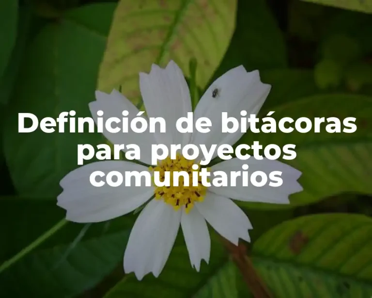 Definición de bitácoras para proyectos comunitarios