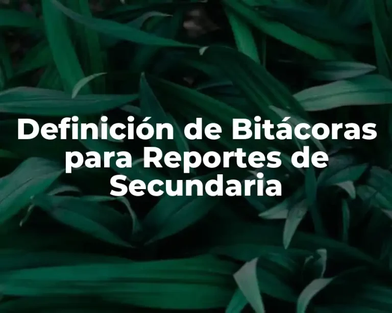 Definición de Bitácoras para Reportes de Secundaria