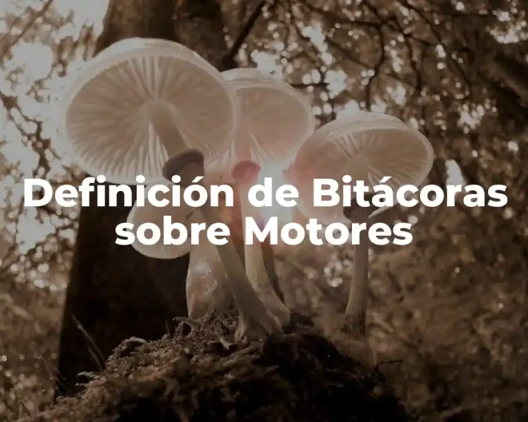 Definición de Bitácoras sobre Motores