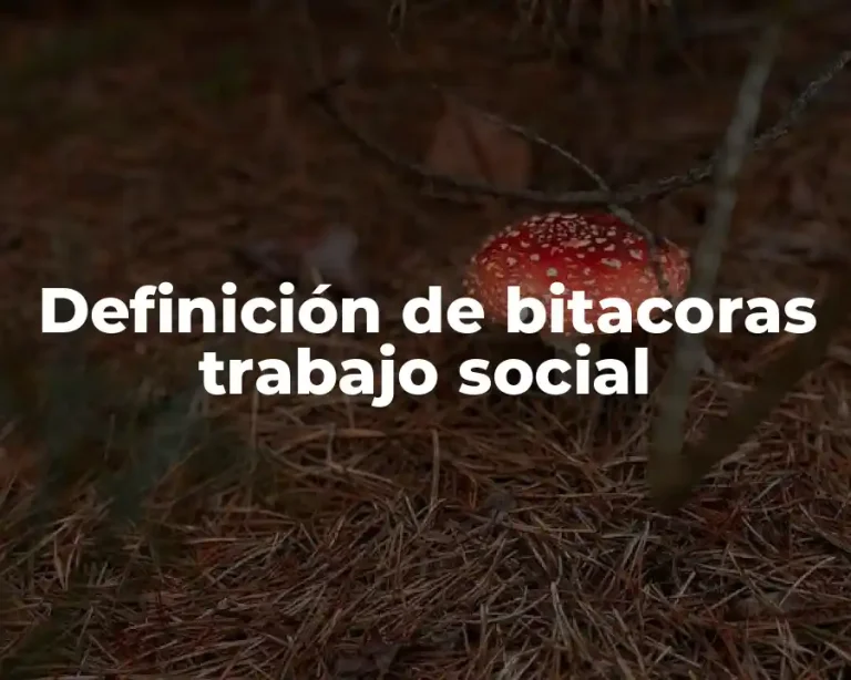 Definición de bitacoras trabajo social