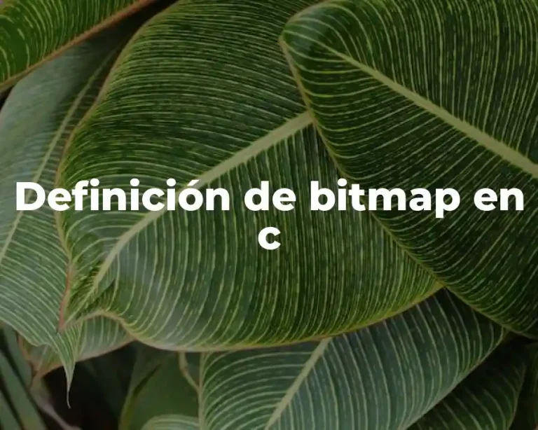 Definición de bitmap en c