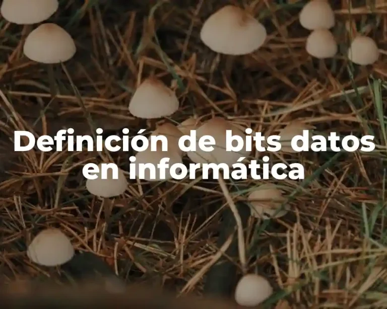Definición de bits datos en informática