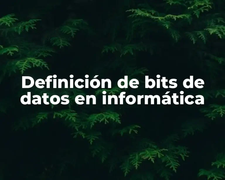 Definición de bits de datos en informática