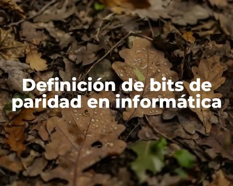 Definición de bits de paridad en informática