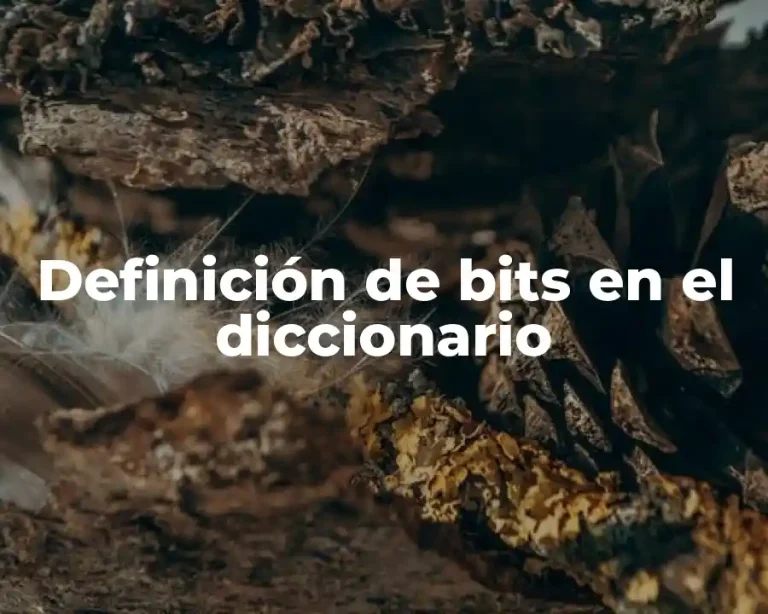 Definición de bits en el diccionario