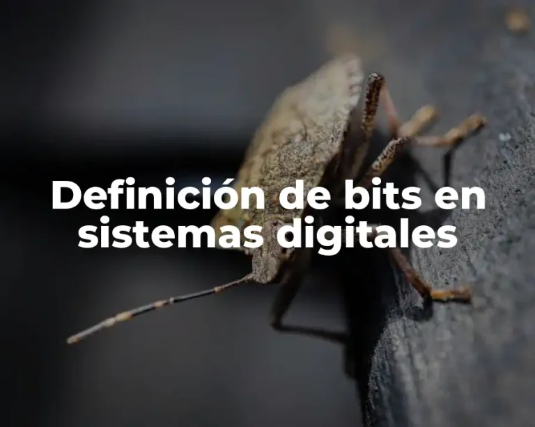 Definición de bits en sistemas digitales