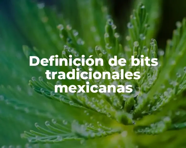 Definición de bits tradicionales mexicanas