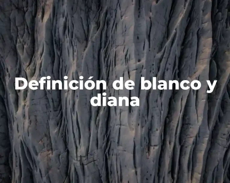 Definición de blanco y diana