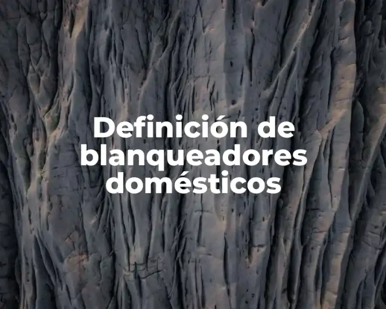 Definición de blanqueadores domésticos