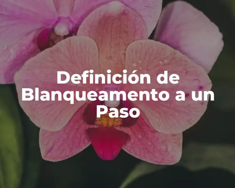 Definición de Blanqueamento a un Paso