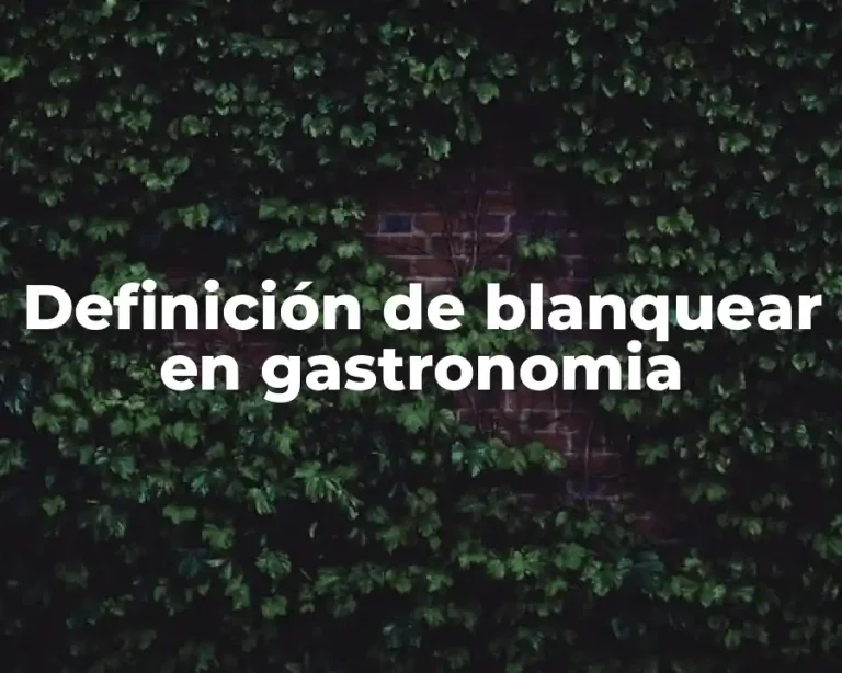 Definición de blanquear en gastronomia